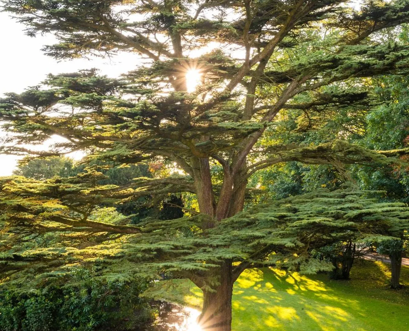 Hotel Farlam Hall Hotel&Restaurant Brampton